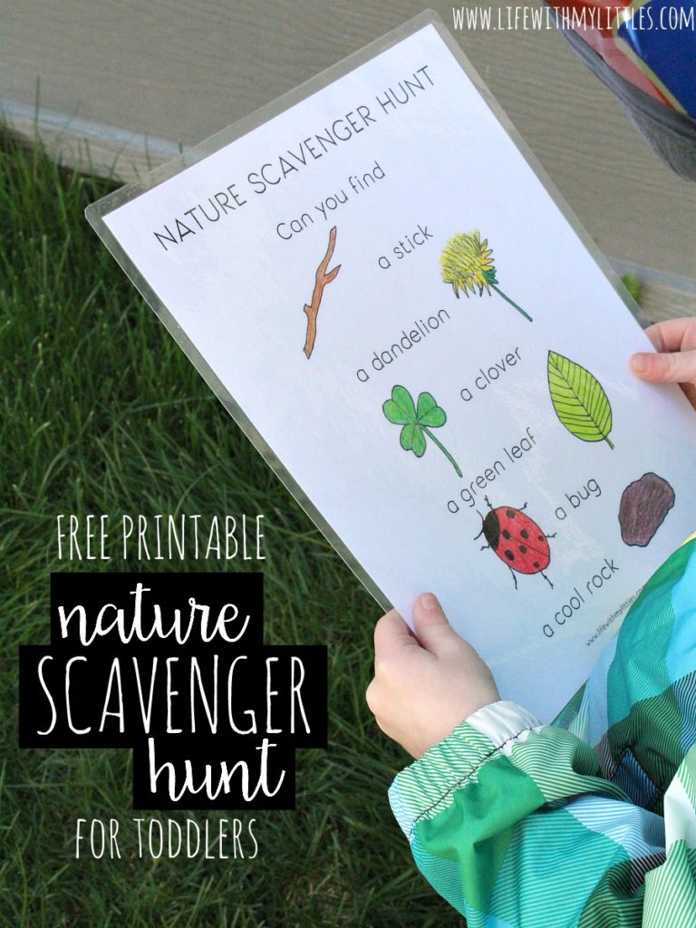 nature-scavenger-hunt-for-toddlers-life-with-my-littles